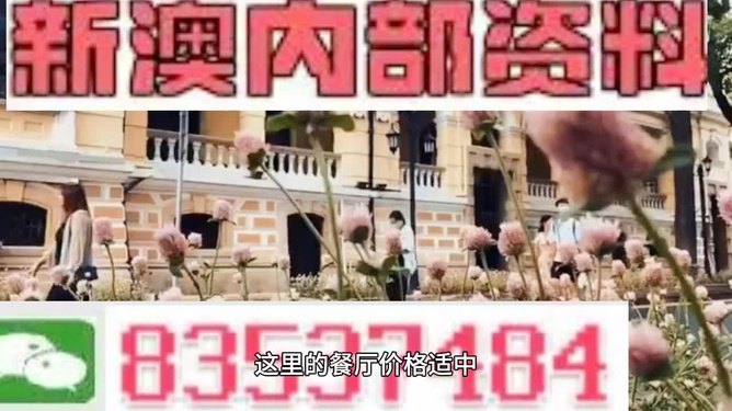 澳门最准最快开奖资料解析，澳门开奖资料解析，最准最快预测