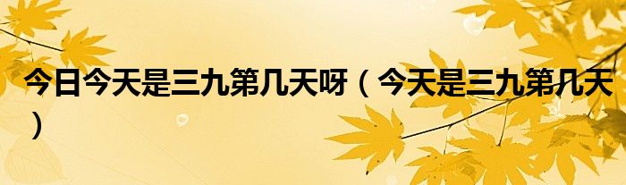 今天三九是哪一天？探寻中国传统节气中的三九时节，探寻中国传统节气中的三九时节，今日三九具体日期揭晓！