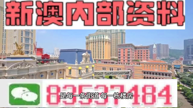 新澳门一码一码100，探索与体验的独特魅力，新澳门一码一码的独特魅力，探索与体验之旅