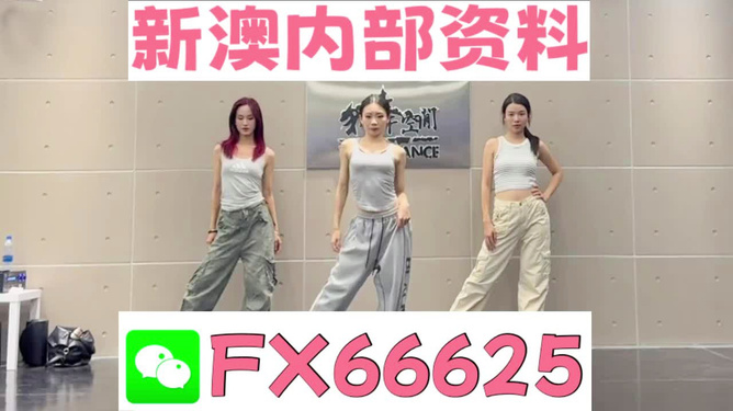管家婆必出一中一特，深度解读与探讨，管家婆必出一中一特，深度解读与全面探讨