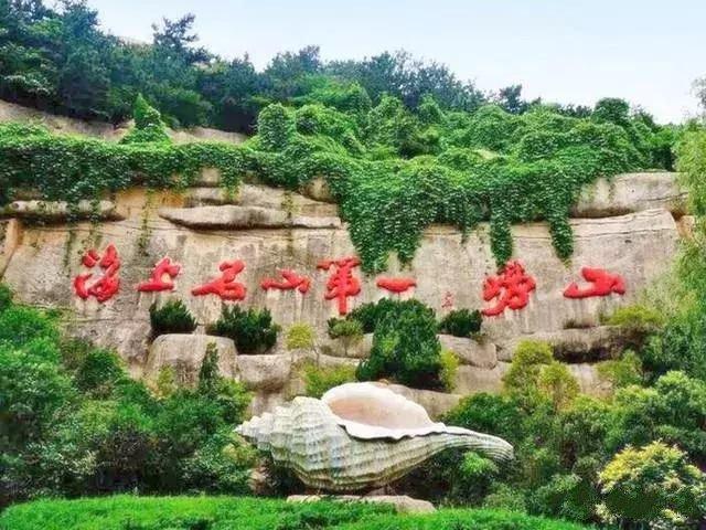 山东舰与歼-15舰载机的协同作战能力——揭秘山东舰的36架歼-15舰载战斗机,揭秘山东舰的歼-15舰载机协同作战能力,36架战斗机的威力与战术运用
