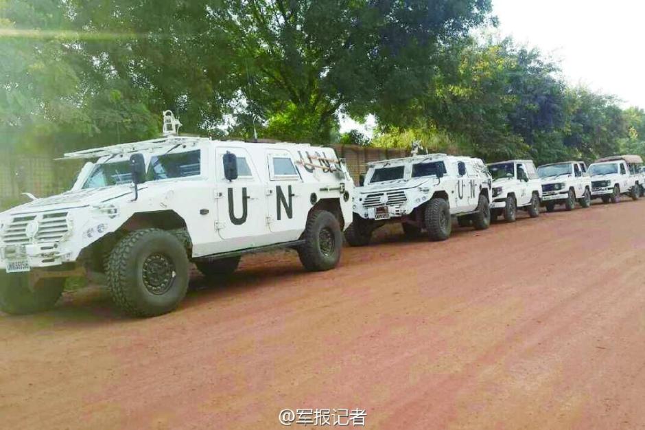 中国护卫车队的车辆种类及其特点，中国护卫车队车辆种类与特点概述