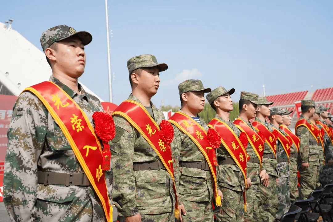 新兵网，连接新兵与未来的桥梁，新兵网，新兵与未来的连接桥梁