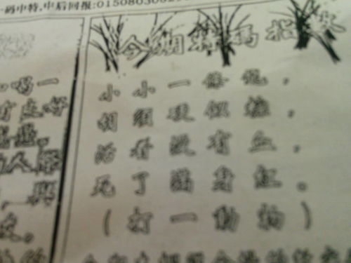刘伯温生肖属性