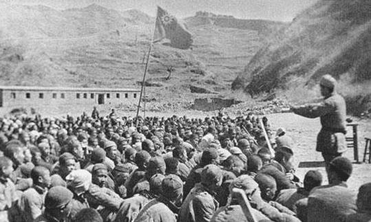 一个集团军内军的数量及其组织结构，集团军数量与组织结构的深度解析