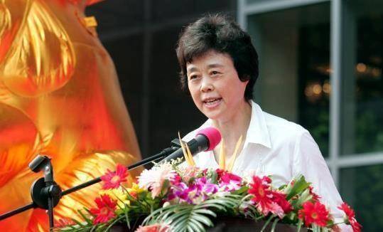 丁小兵将军近况，丁小兵将军近况概览