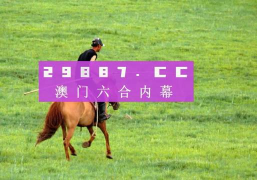 澳门精准一肖一码，探索背后的秘密，澳门精准一肖一码揭秘，探索背后的神秘面纱