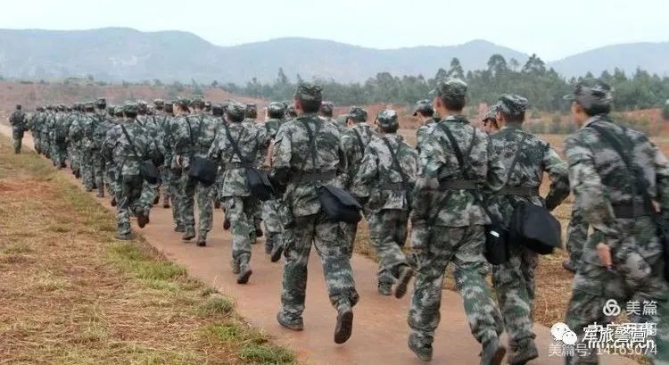 军改后的38集团军113师,新气象,新挑战,新作为,军改后38集团军113师,新气象、新挑战与新的行动