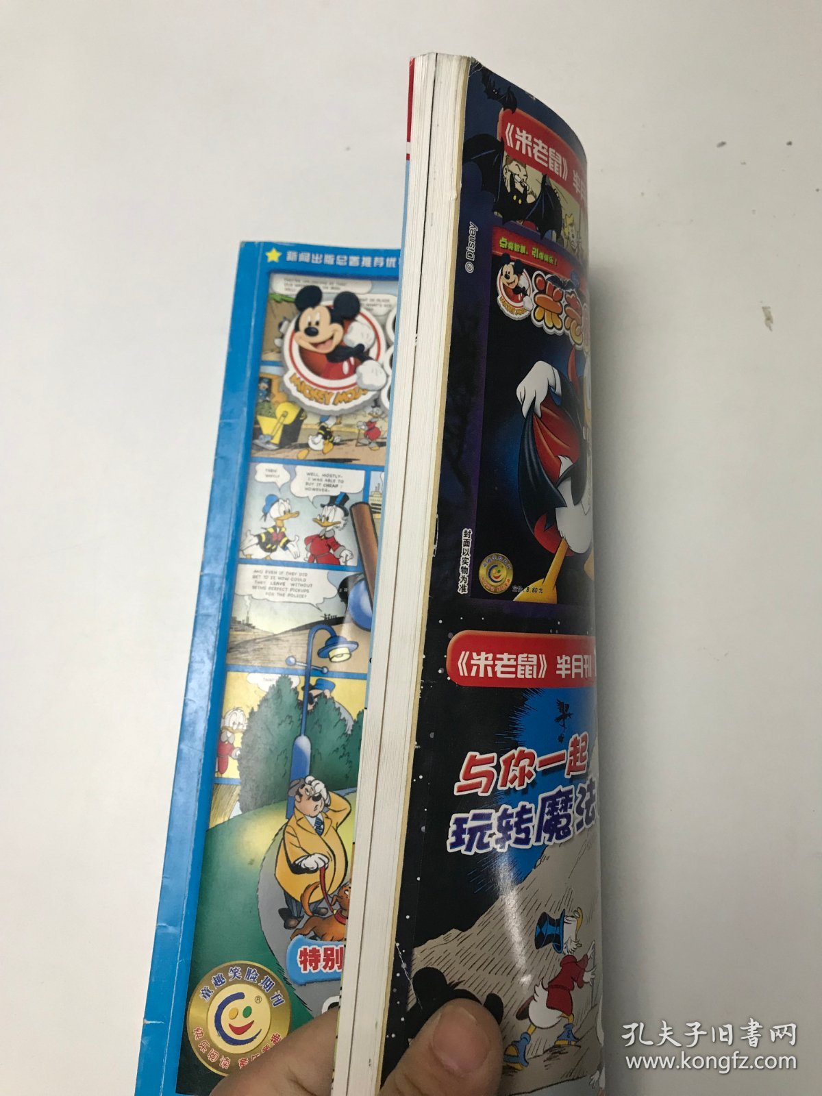 米老鼠平特一肖王中王，一段奇幻的冒险之旅，米老鼠平特一肖王中王，奇幻冒险之旅