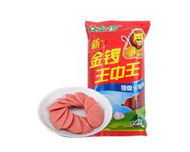王中王一肖一吗种特冈，探索与解析，王中王一肖一吗种特冈，深度探索与解析