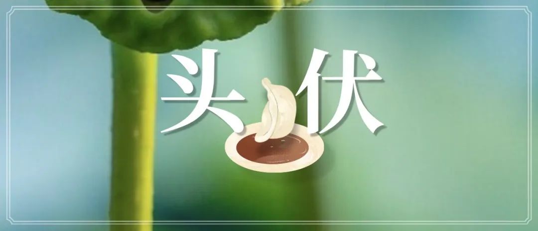 今日进入三伏天的第几章——探寻酷暑背后的天文奥秘，三伏天揭秘，探寻酷暑背后的天文奥秘章节解析