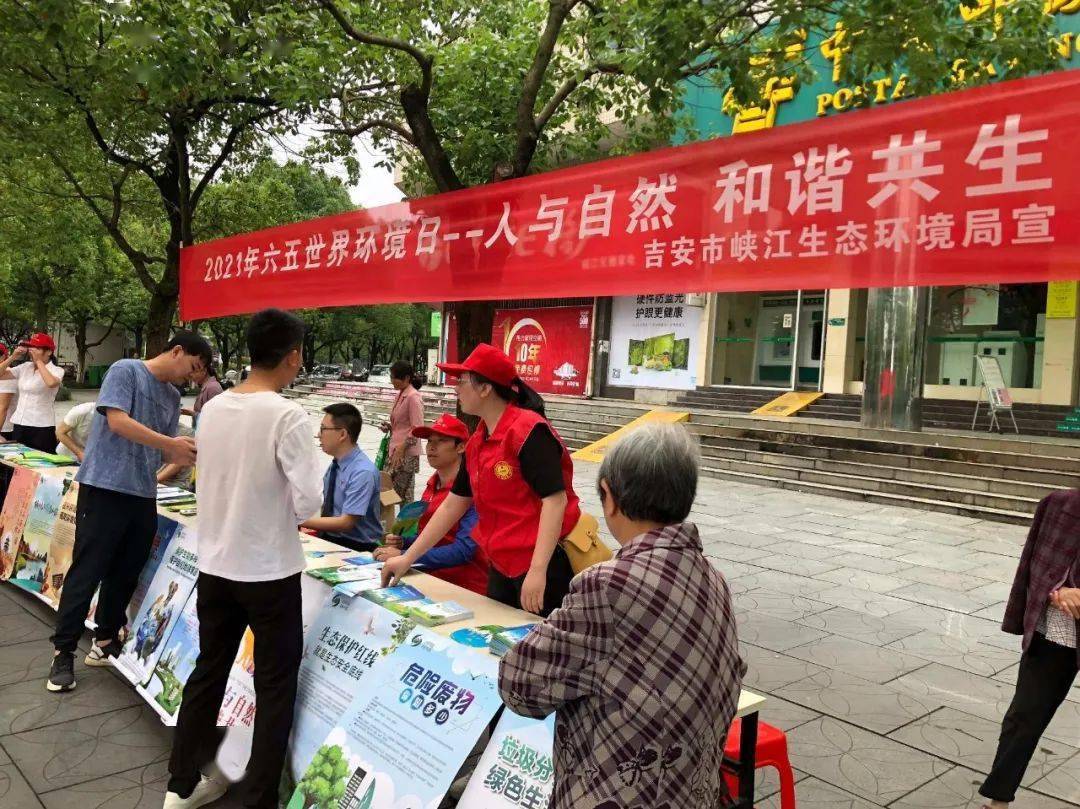 澳门最快开奖六开生肖卡，探索与解析，澳门六开生肖卡开奖探索与解析