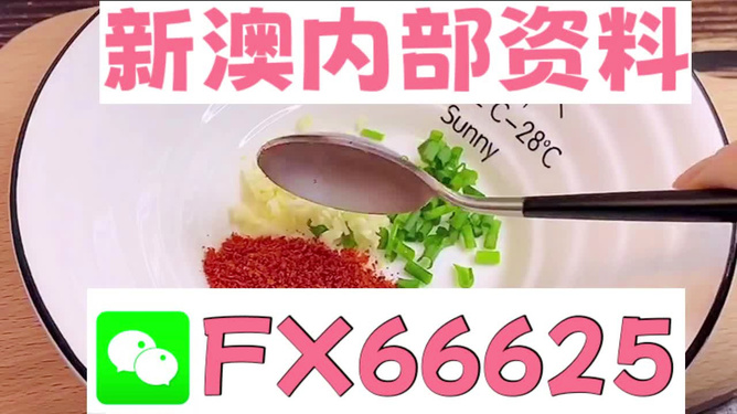 探索新澳正版资料的世界，免费提供的力量与价值，探索新澳正版资料世界，免费提供的力量与价值揭秘