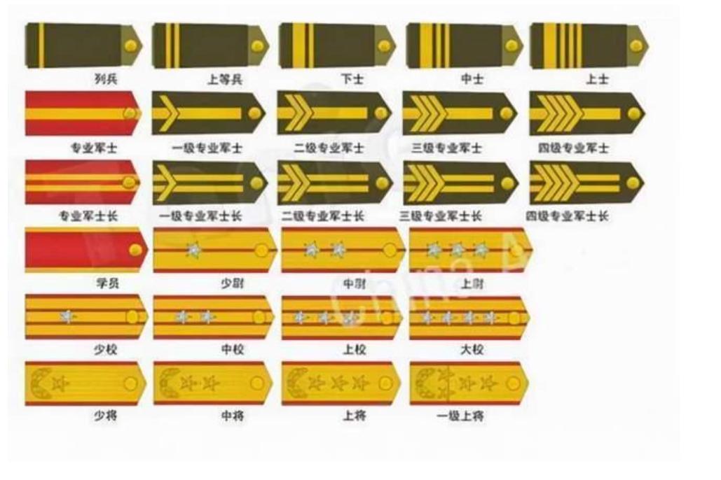 新挑战与机遇