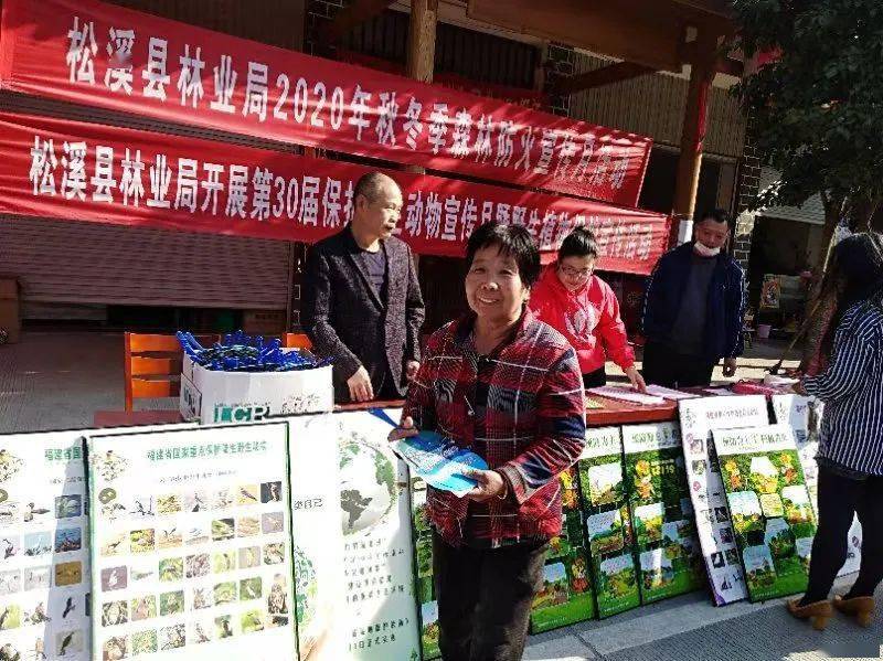 延平区峡阳镇今日特大新闻,延平区峡阳镇今日重大新闻更新