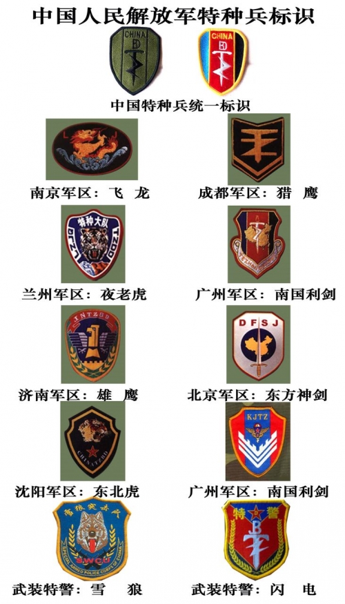 荣誉与职责的象征