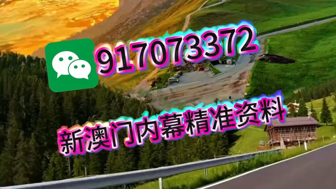 王中王内部推荐一肖，探寻背后的故事与意义，王中王内部推荐一肖背后的故事与意义探索