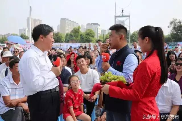 中央七套主持人照片，展现魅力与专业素养，中央七套主持人风采展示，魅力与专业并存的照片集