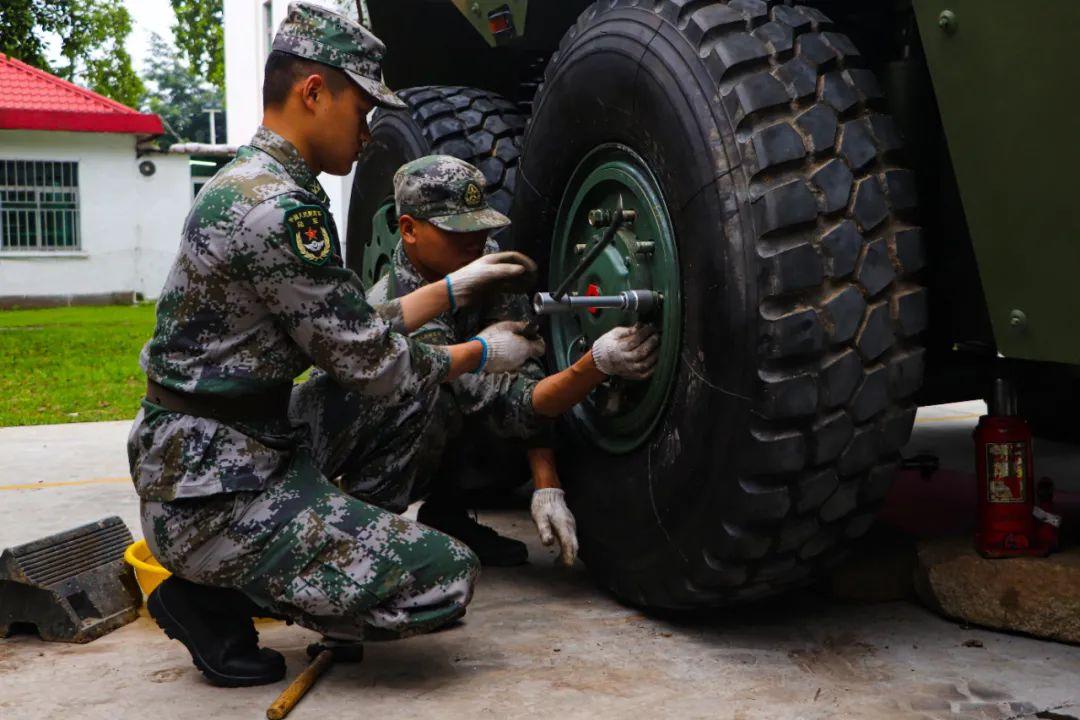 陆军兵种概述，陆军兵种概览