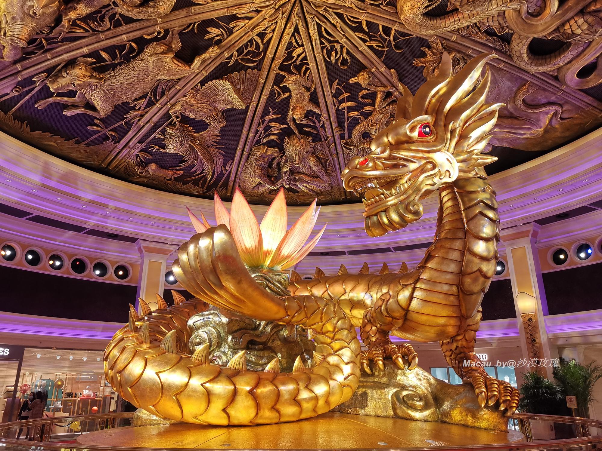 澳门天天免费精准大全，探索澳门的文化与魅力，澳门文化与魅力探索，天天免费精准大全