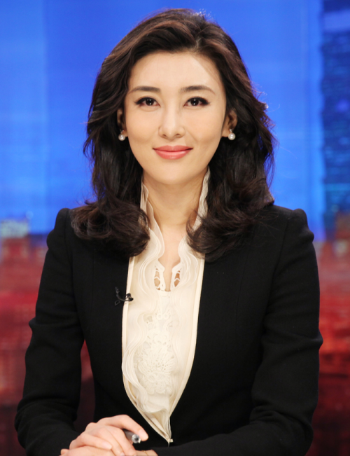 海峡两岸知名主持人及其影响力，探寻台湾主持人的风采，海峡两岸知名主持人影响力探寻，台湾主持人风采展示
