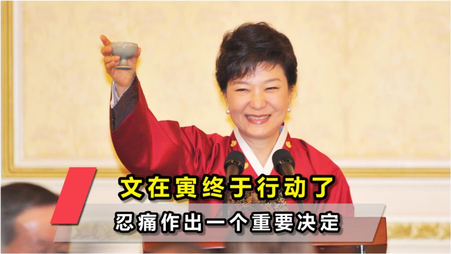 最新消息，朴槿惠要求的背后深意，朴槿惠要求背后的深意揭秘