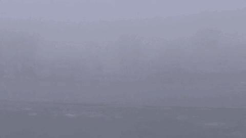 力量与决心展示