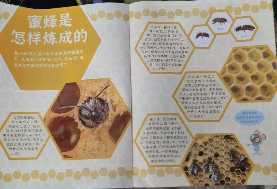 探索科学世界的新纪元，杂志电子版的崛起与影响，科学探索新纪元，杂志电子版的崛起及其影响