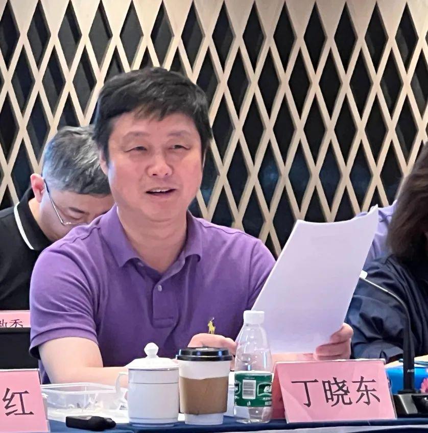 丁晓东，一位引领时代的杰出人物，丁晓东，时代引领者的杰出风采