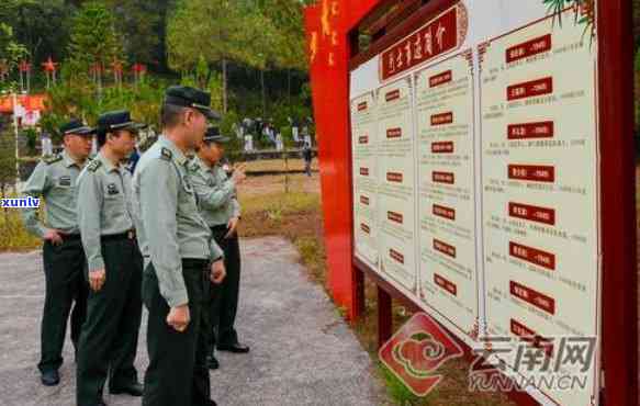 云南所属战区部队概览，云南战区部队概览