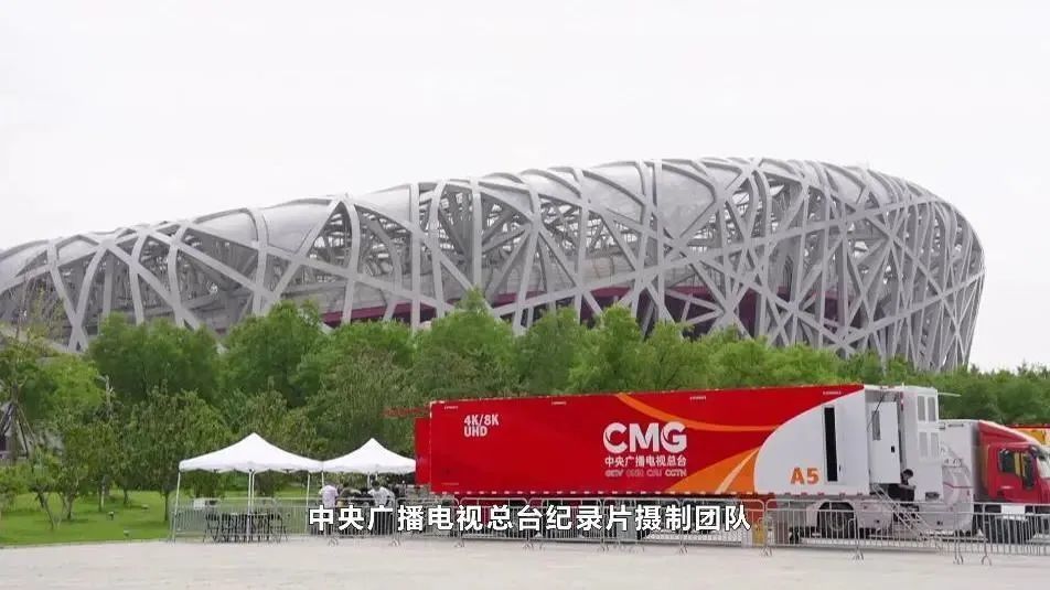 凤凰巢中的王者，王中王与神秘的数字组合7777788888，凤凰巢王者揭秘，神秘数字组合7777788888背后的故事