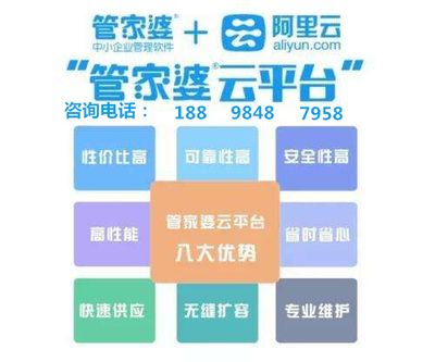 探索数字世界中的神秘面纱，管家婆凤凰网与云间玉箭的交汇点，数字世界的神秘面纱，凤凰网与云间玉箭交汇点的探索