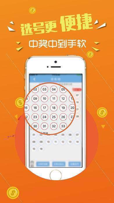 探究数字背后的神秘力量，王中王中特点亮777777与88888，数字神秘力量揭秘，王中特点亮777777与88888的神秘面纱