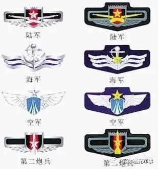 解放军胸标与军衔，揭示中国军队等级制度的重要标识，解放军胸标与军衔，揭示中国军队等级制度的关键标识