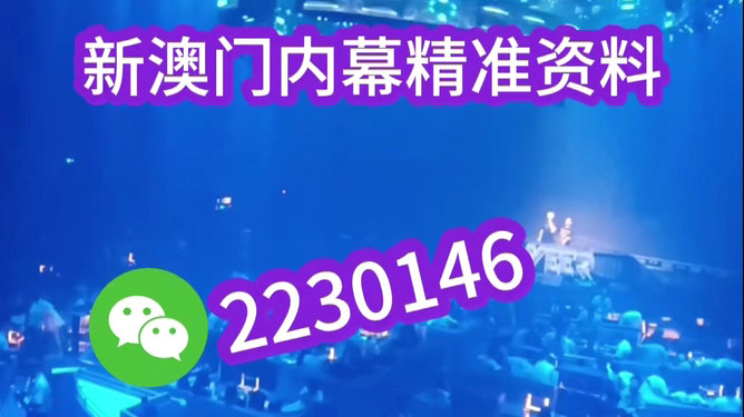 新澳2025今晚开奖结果揭晓，期待与惊喜交织之夜，新澳2025今晚开奖结果揭晓，期待与惊喜交织的盛宴之夜