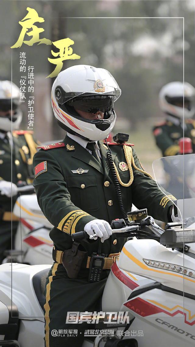 国宾护卫队标识，荣耀与责任的象征，国宾护卫队标识，荣耀与责任的象征标志