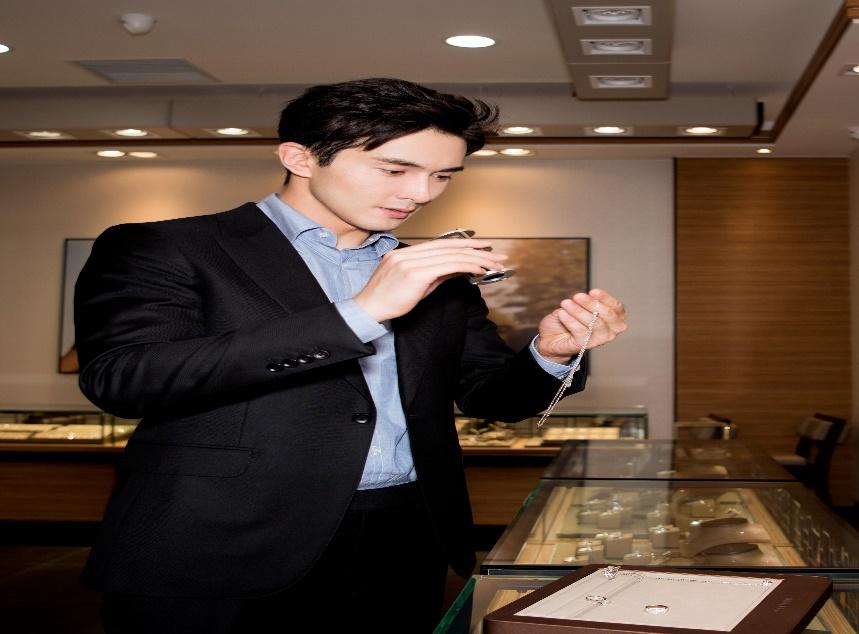 男乒乓球运动员名单,荣耀与实力的见证,男乒乓球运动员名单,荣耀与实力的汇聚篇章