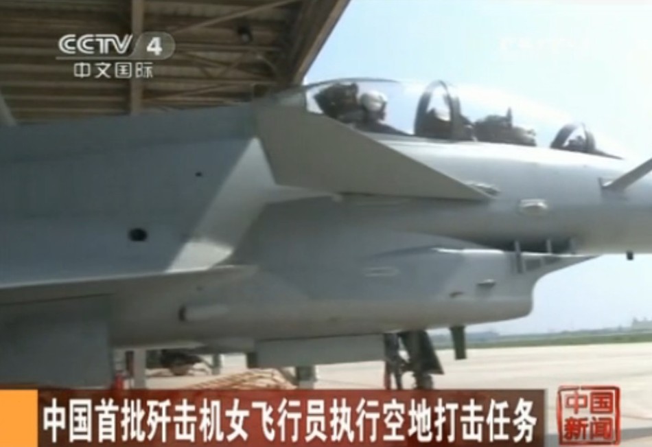 中国歼击机20模型是否已经公开？探讨其背景与意义，中国歼击机20模型公开背后的背景与意义探讨
