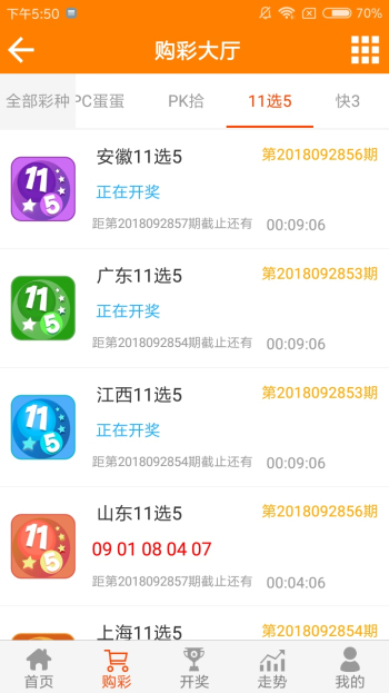王中王的资料一肖中特，揭示神秘面纱下的传奇人物，揭秘传奇人物王中王的神秘面纱与资料解析
