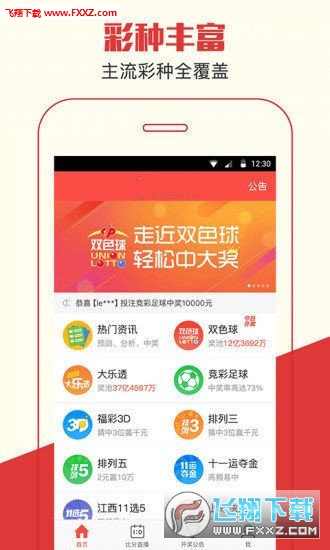 探索王中王一肖中的独特魅力与持久影响力，王中王一肖，独特魅力与持久影响力的探索