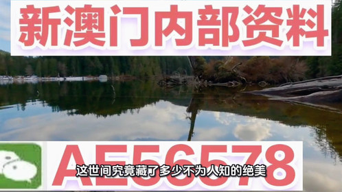 2025新澳精准资料大全——掌握最新信息，洞悉未来趋势，2025新澳精准资料大全，掌握最新信息，洞悉未来趋势全攻略