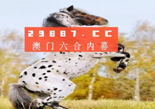 白小姐三码三期必出一期吗——揭秘彩票背后的真相，揭秘彩票背后的真相，白小姐三码三期中奖概率解析