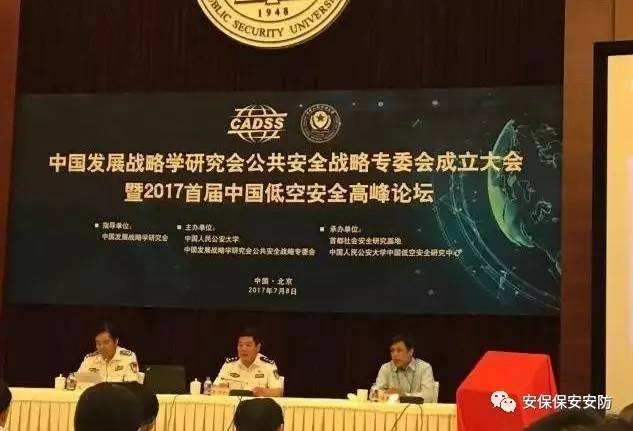 中国发展战略学研究会，引领国家战略研究，推动国家发展进程，中国发展战略学研究会，引领战略研究，助推国家发展进程