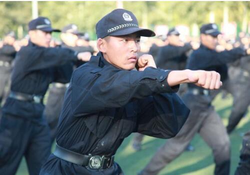 内蒙古警校2025年招生计划展望，内蒙古警校2025年招生计划展望与趋势分析