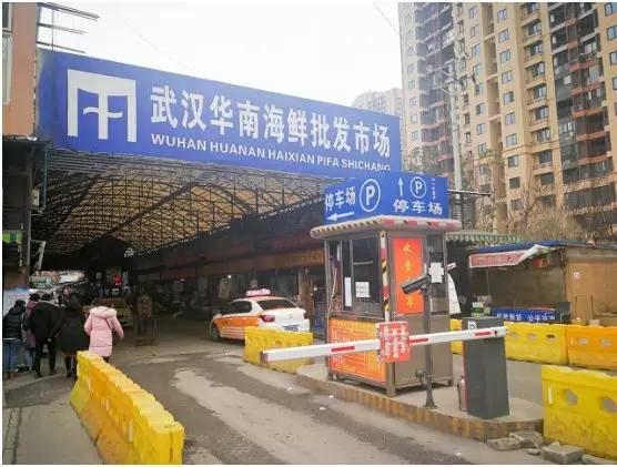 华南海鲜市场，表象之下，真相何在，华南海鲜市场背后的真相揭秘
