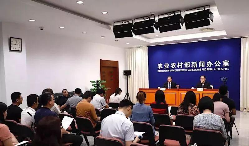 中央最新政策动向，推动高质量发展，深化改革开放，中央最新政策推动高质量发展，深化改革开放启新篇