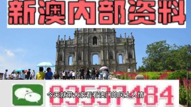 新澳今天最新免费资料，探索与启示，新澳今日免费资料大揭秘，探索之旅与启示之门