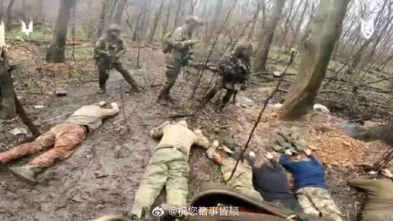 今日俄乌战争最新进展视频分析，俄乌战争最新进展视频解析报告，今日动态分析摘要