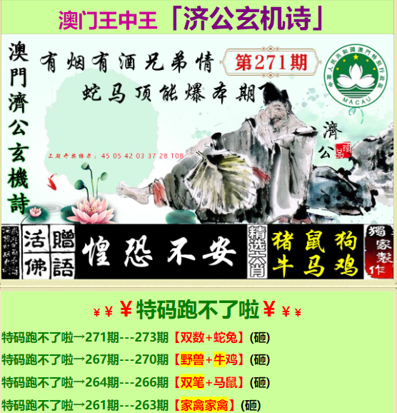 香港王中王最一肖，揭秘背后的故事与神秘魅力，香港王中王最一肖，揭秘背后的故事与独特魅力