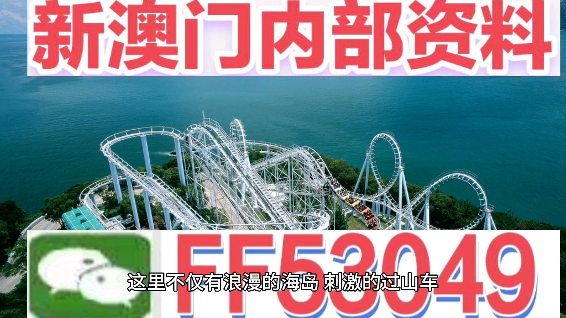 新澳门一肖一马平特大全，探索与解读，澳门新一期一肖一马平特大全，解读与探索指南